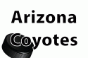 Cheap Arizona Coyotes Tickets