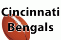 Cheap Cincinnati Bengals Tickets